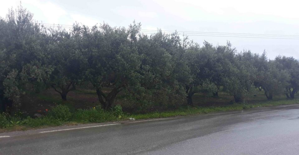 ΟΙΚΟΠΕΔΟ 5 ΣΤΡΕΜ. ΠΡΟΣ ΠΩΛΗΣΗ ΣΤΙΣ ΜΟΙΡΕΣ