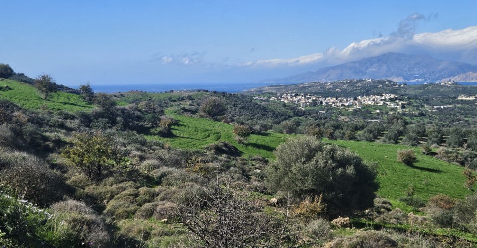 LAND PLOT 15.000 m² FOR SALE IN KOUSES