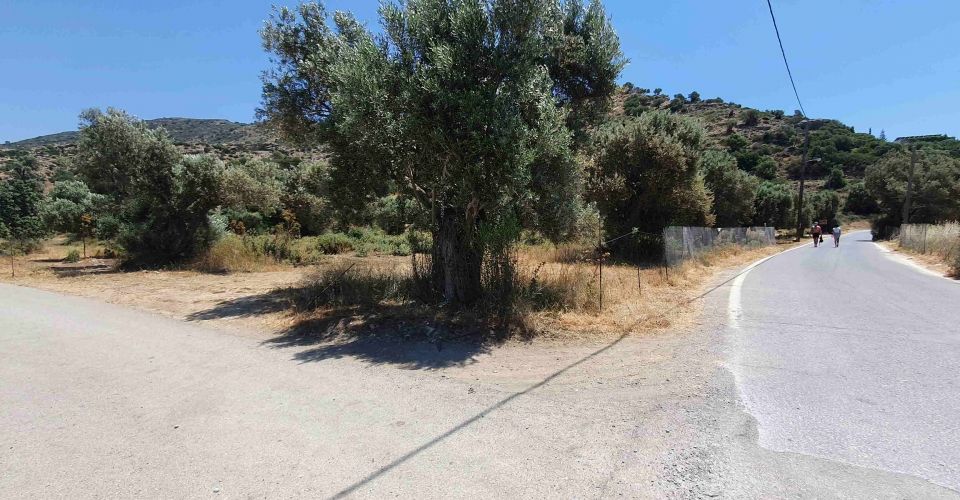 LAND PLOT 4700 m² FOR SALE IN AGIA GALINI