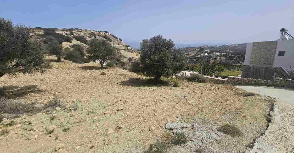 LAND PLOT 3300 m² FOR SALE IN PITSIDIA