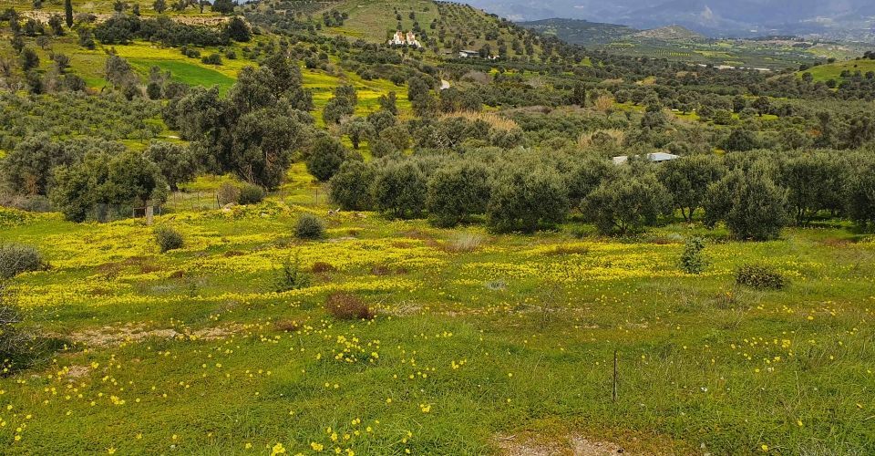 GRUNDSTÜCK 8.300 m² ZUM VERKAUF IN SIVAS