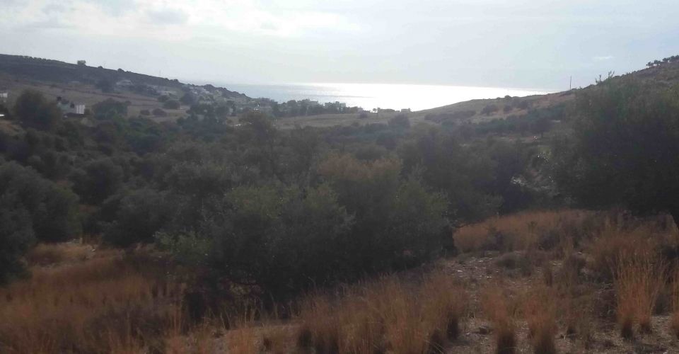 LAND PLOT 1.300 m² FOR SALE IN KALAMAKI