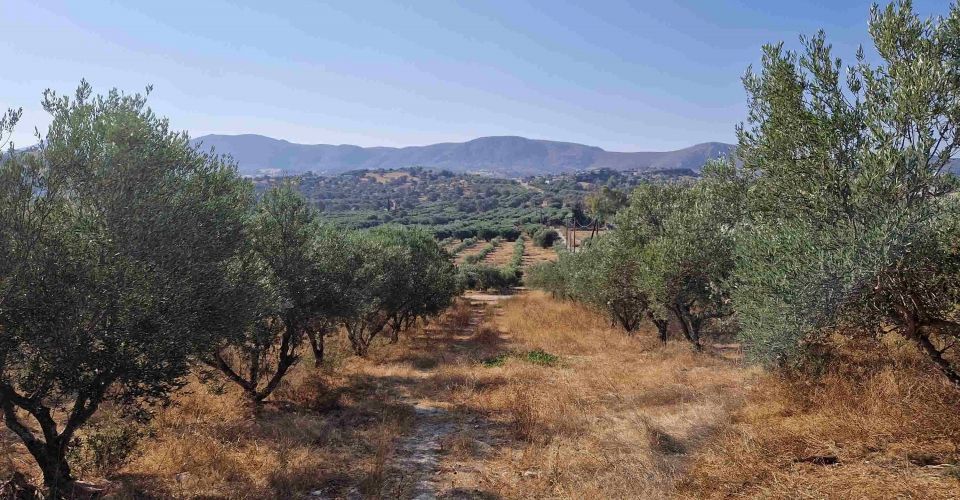 ΟΙΚΟΠΕΔΟ 4.145 m² ΠΡΟΣ ΠΩΛΗΣΗ ΣΤΟ ΣΙΒΑ 