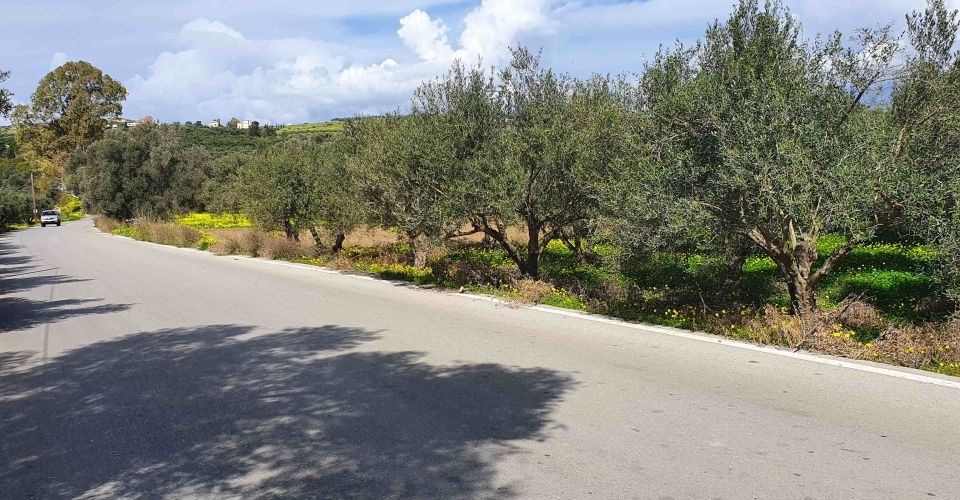 LAND PLOT 1.600 m² FOR SALE IN SIVAS