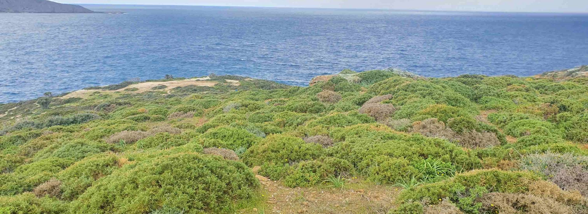 ΕΚΤΑΣΗ 44 ΣΤΡ. ΠΡΟΣ ΠΩΛΗΣΗ ΣΤΗΝ ΑΓΙΑ ΠΕΛΑΓΙΑ