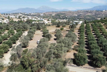 LAND PLOT 2.600 m² FOR SALE IN PITSIDIA