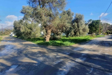 ΟΙΚΟΠΕΔΟ 400 m² ΠΡΟΣ ΠΩΛΗΣΗ ΣΤΟ ΤΥΜΠΑΚΙ