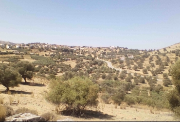 LAND PLOT 17.000 m² FOR SALE IN SIVAS