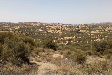 LAND PLOT 4100 m² FOR SALE IN SIVAS