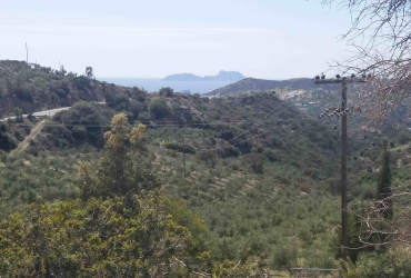 LAND PLOT 34 ACRES WITH AN OLD TRADITIONAL HOUSE FOR SALE IN AGIA GALINI