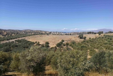 LAND PLOT 8.000 m² FOR SALE IN KOUSES