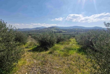 LAND PLOT 4300 m² FOR SALE IN SIVAS