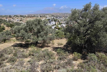 PLOT 2602 m² FOR SALE IN PITSIDIA