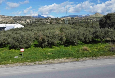 ΟΙΚΟΠΕΔΟ 6.633 m² ΠΡΟΣ ΠΩΛΗΣΗ ΣΤΑ ΚΑΠΠΑΡΙΑΝΑ