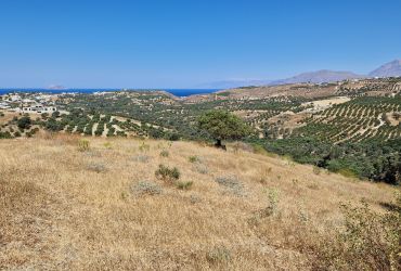 LAND PLOT 4000 m² FOR SALE IN SIVAS