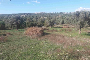 LAND PLOT 4660 m² FOR SALE IN SIVAS