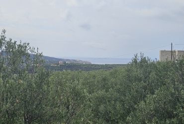 LAND PLOT 2.500 m² FOR SALE IN KAMILARI