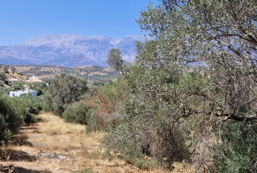 LAND PLOT 1060 m² FOR SALE IN KAMILARI