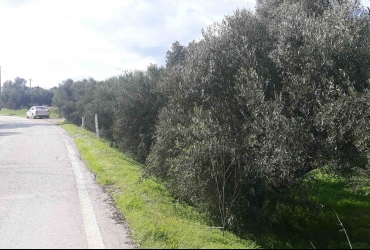 LAND PLOT 2.000 m² FOR SALE IN FANEROMENI