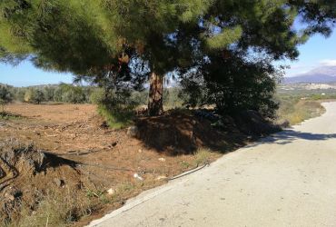 LAND PLOT 1425 m² FOR SALE IN KOUSES