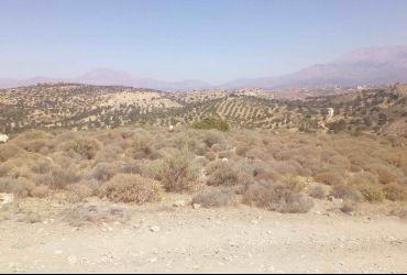 LAND PLOT 44000 m² FOR SALE IN SIVA