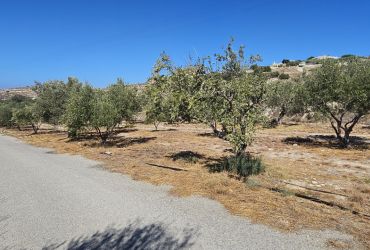 ΟΙΚΟΠΕΔΟ 5436 m² ΠΡΟΣ ΠΩΛΗΣΗ ΣΤΟ ΚΑΛΑΜΑΚΙ