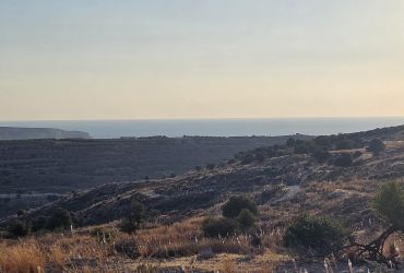 GRUNDSTÜCK 7000 m² ZU VERKAUFEN IN