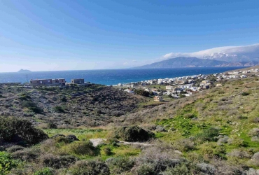 ΟΙΚΟΠΕΔΟ 4740 m² ΠΡΟΣ ΠΩΛΗΣΗ ΣΤΑ ΠΙΤΣΙΔΙΑ