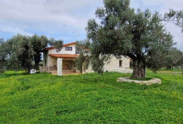 TWO STONE DETACHED HOUSES 180 m² FOR SALE IN SIVA