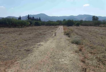 ΑΓΡΟΤΕΜΑΧΙΟ 3.100 m² ΠΡΟΣ ΠΩΛΗΣΗ ΣΤΙΣ ΜΟΙΡΕΣ