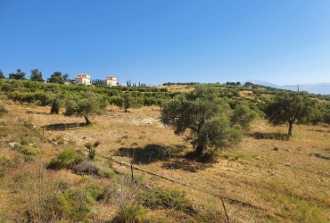 FOR SALE LAND PLOT OF 2800 m²  IN KAMILARI 