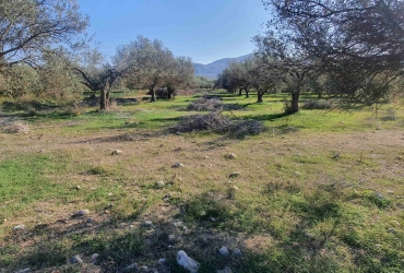 LAND PLOT 3400 m² FOR SALE IN MOIRES