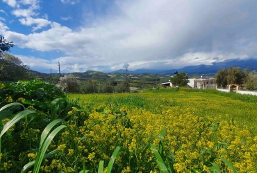 ΟΙΚΟΠΕΔΟ 1000 m² ΠΡΟΣ ΠΩΛΗΣΗ ΣΤΗΝ ΠΟΜΠΙΑ