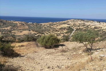 LAND PLOT 4577 m² FOR SALE IN TRIOPETRA