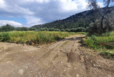 AGRICULTURAL LAND 1.000 m² FOR SALE IN VORI 