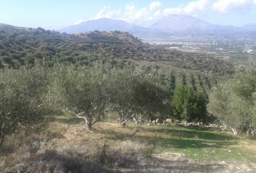 AGRICULTURAL LAND 200.000 m² FOR SALE IN VORI