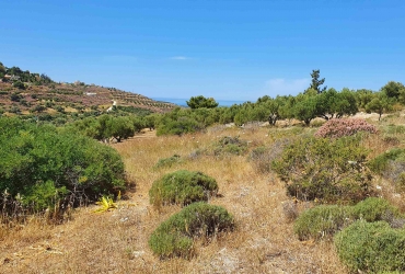 LAND PLOT 5.500 m² FOR SALE IN KAMILARI