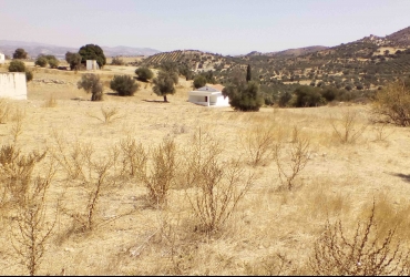 LAND PLOT 852 m² FOR SALE IN SIVAS