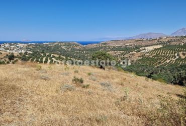 ΟΙΚΟΠΕΔΟ 12.000 m² ΠΡΟΣ ΠΩΛΗΣΗ ΣΤΟ ΣΙΒΑ