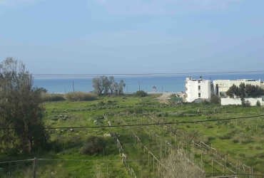 LAND PLOT 2.000 m² FOR SALE IN KOKKINOS PIRGOS