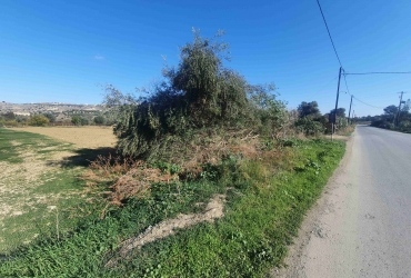 ΟΙΚΟΠΕΔΟ 2100 m² ΠΡΟΣ ΠΩΛΗΣΗ ΣΤΑ ΠΙΤΣΙΔΙΑ