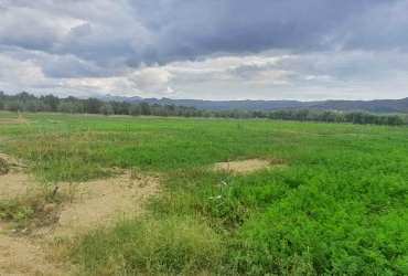 LANDWIRTSCHAFTLICHE NUTZFLÄCHE  6.500 m² ZUM VERKAUF IN MIRES