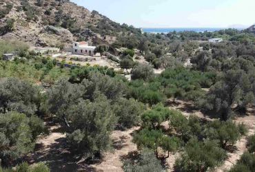 ΟΙΚΟΠΕΔΟ 6546 m² ΠΡΟΣ ΠΩΛΗΣΗ ΣΤΗΝ ΑΓΙΑ ΓΑΛΗΝΗ