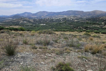 LAND PLOT 4050 m² FOR SALE IN KAMILARI