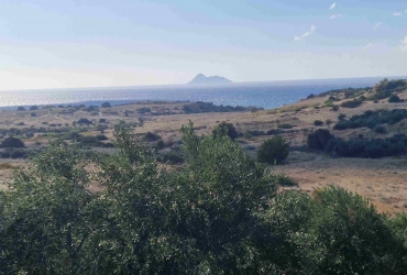 LAND PLOT 4480 m² FOR SALE IN PITSIDIA (KOMOS)