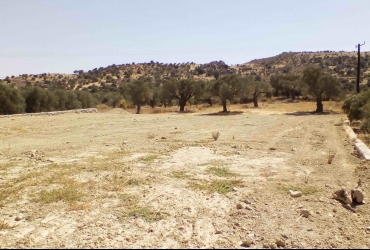 LAND PLOT 3.445 m² FOR SALE IN SIVAS