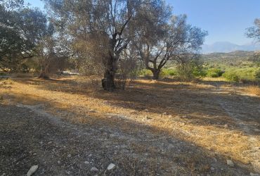 LAND PLOT 750 m² FOR SALE IN KAMILARI