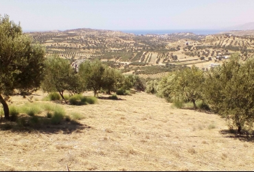 ΟΙΚΟΠΕΔΟ 5360 m² ΠΡΟΣ ΠΩΛΗΣΗ ΣΤΟ ΣΙΒΑ