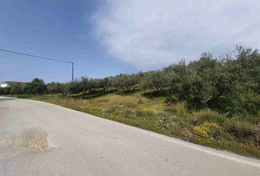 AGRICULTURAL LAND 2.500 m² FOR SALE IN FANEROMENI