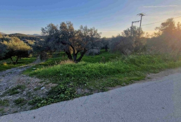 AGRICULTURAL LAND 3.400 m² FOR SALE IN FANEROMENI